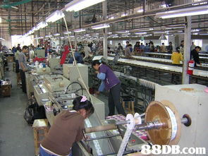 一体化品牌与运营服务 从设计到质量保证