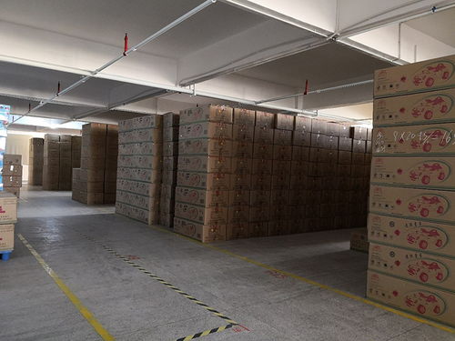 工厂揭秘丨美致宝科技 孩之宝青睐的玩具制造商，产品与技术实力有多牛？