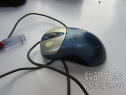 数字产品技术交流网站 连接技术爱好者的创新桥梁