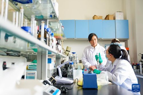 雪域瑰宝的唤醒者 张玉红用微生物技术点亮高原味道